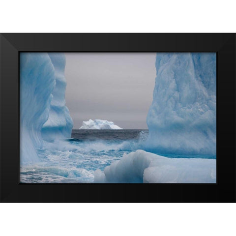 South Georgia Island Blue-tinged icebergs Black Modern Wood Framed Art Print by Paulson, Don