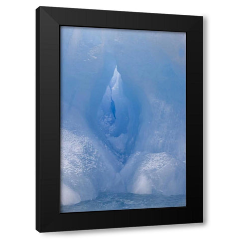 Antarctica, South Shetland A vivid blue iceberg Black Modern Wood Framed Art Print with Double Matting by Grall, Don