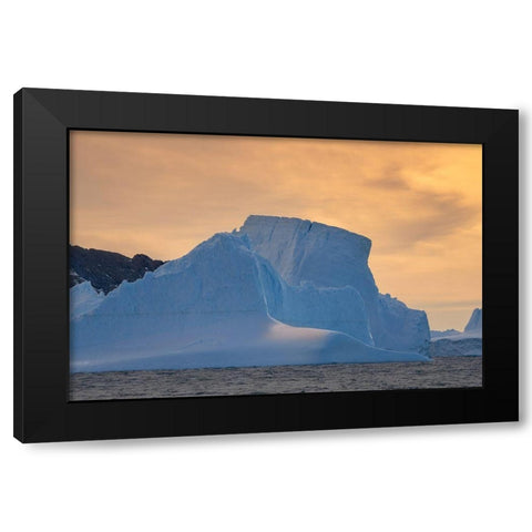 Antarctica-South Georgia Island-Coopers Bay Iceberg at sunrise  Black Modern Wood Framed Art Print by Jaynes Gallery