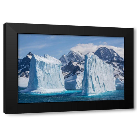Antarctica-South Georgia Island-Coopers Bay Landscape with icebergs and mountains  Black Modern Wood Framed Art Print with Double Matting by Jaynes Gallery