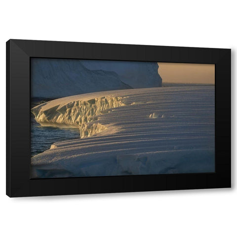Antarctica-South Georgia Island-Coopers Bay Iceberg at sunrise  Black Modern Wood Framed Art Print with Double Matting by Jaynes Gallery