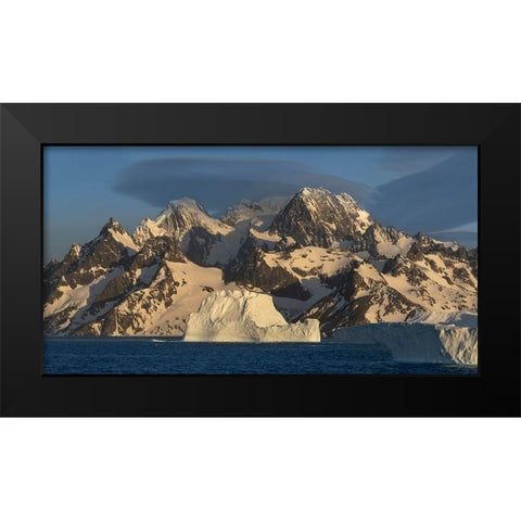 Antarctica-South Georgia Island-Coopers Bay Icebergs and mountains at sunrise  Black Modern Wood Framed Art Print by Jaynes Gallery
