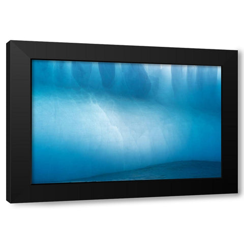 Antarctica-South Georgia Island-Gold Harbor Blue iceberg close-up  Black Modern Wood Framed Art Print by Jaynes Gallery