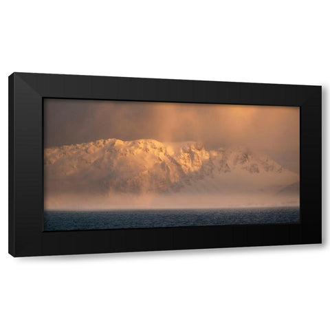 Antarctica-South Georgia Island-Bay of Isles Sunrise panoramic of fog on mountain and ocean  Black Modern Wood Framed Art Print by Jaynes Gallery