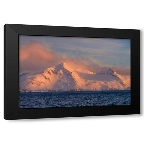 Antarctica-South Georgia Island-Bay of Isles Sunrise on mountain and ocean  Black Modern Wood Framed Art Print by Jaynes Gallery