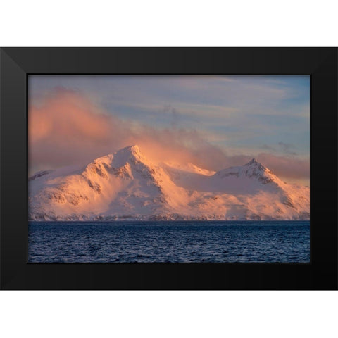 Antarctica-South Georgia Island-Bay of Isles Sunrise on mountain and ocean  Black Modern Wood Framed Art Print by Jaynes Gallery