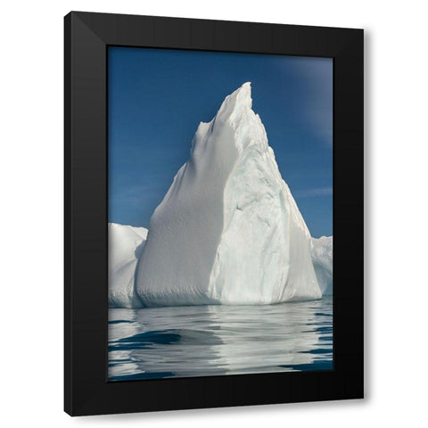 Antarctica-South Georgia Island-Stromness Bay Iceberg reflects in ocean  Black Modern Wood Framed Art Print by Jaynes Gallery