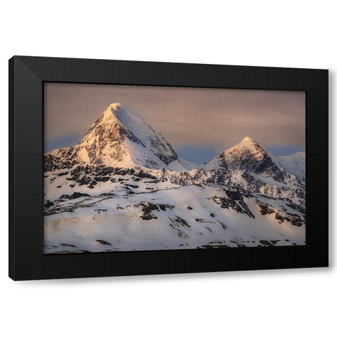 Antarctica-South Georgia Island-St Andrews Bay Spring sunrise on mountain  Black Modern Wood Framed Art Print with Double Matting by Jaynes Gallery