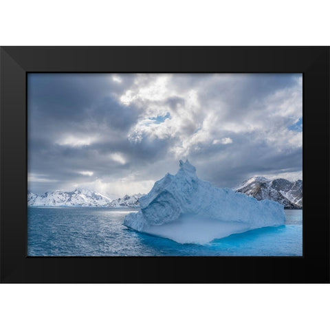 Antarctica-South Georgia Island Landscape with iceberg and mountains  Black Modern Wood Framed Art Print by Jaynes Gallery