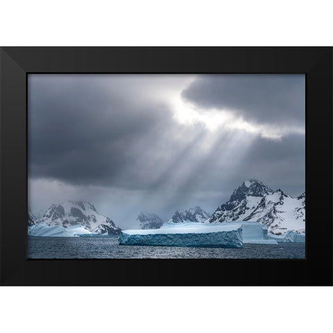 Antarctica-South Georgia Island Sunbeams light up icebergs  Black Modern Wood Framed Art Print by Jaynes Gallery