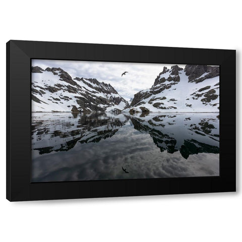 Southern Ocean-South Georgia-Larsen Harbor-Drygalski Fjord Black Modern Wood Framed Art Print by Goff, Ellen B.