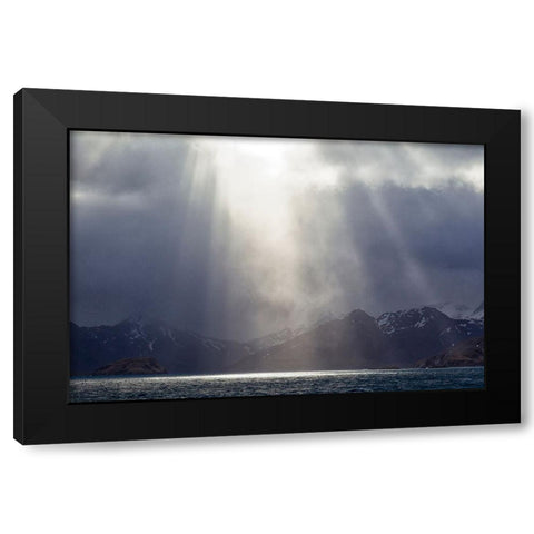Southern Ocean-South Georgia-King Edward Cove-Grytviken Black Modern Wood Framed Art Print with Double Matting by Goff, Ellen B.