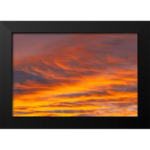 Southern Ocean-South Georgia-Sunset at South Georgia Black Modern Wood Framed Art Print by Goff, Ellen B.