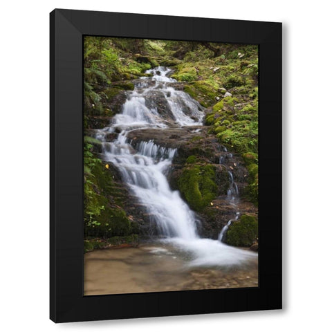 Asia, Bhutan Waterfall in central Bhutan Black Modern Wood Framed Art Print by Kirkland, Dennis