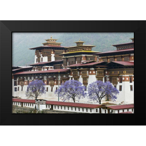Bhutan Punakha Dzong palace with jacaranda Black Modern Wood Framed Art Print by Kirkland, Dennis