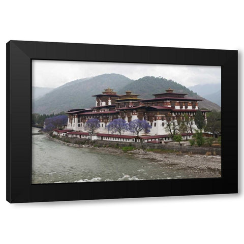 Bhutan Punakha Dzong palace with jacaranda Black Modern Wood Framed Art Print with Double Matting by Kirkland, Dennis