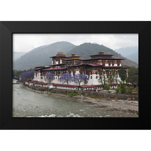 Bhutan Punakha Dzong palace with jacaranda Black Modern Wood Framed Art Print by Kirkland, Dennis