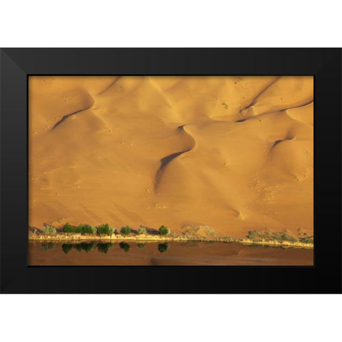 China, Badain Jaran Dune and trees by a lake Black Modern Wood Framed Art Print by Anon, Ellen