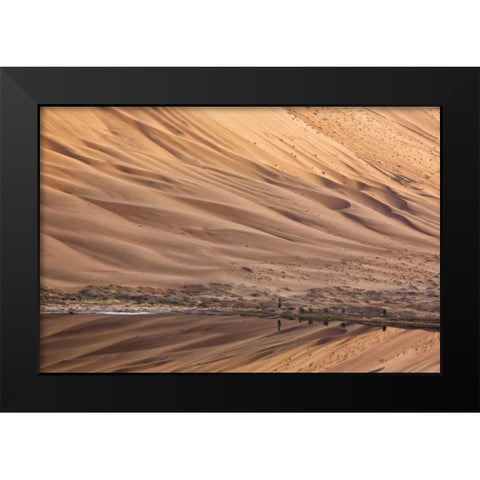 China, Badain Jaran Dune and trees by a lake Black Modern Wood Framed Art Print by Anon, Ellen
