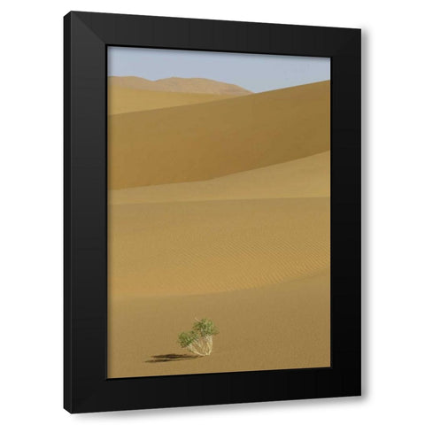 China, Gansu Province Badain Jaran Desert Black Modern Wood Framed Art Print by Anon, Josh