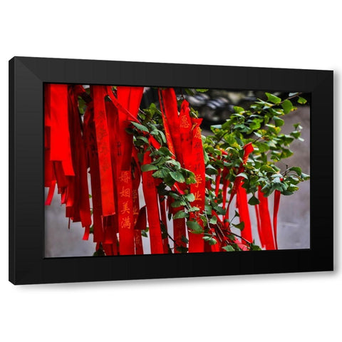 Asia-China-Zhujiajiao (Venice of the East)-Red Ribbons of Wish to a Higher Power Black Modern Wood Framed Art Print with Double Matting by Looney, Hollice