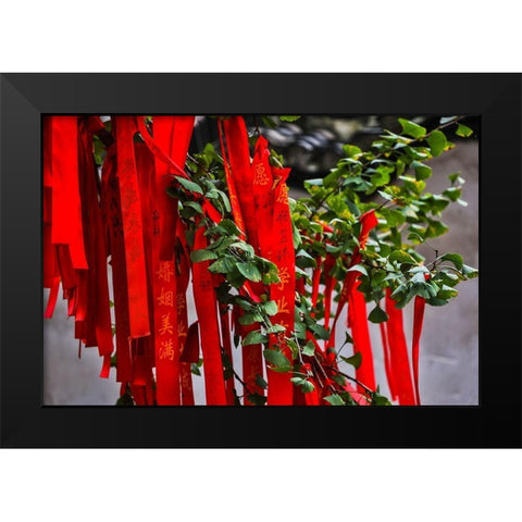 Asia-China-Zhujiajiao (Venice of the East)-Red Ribbons of Wish to a Higher Power Black Modern Wood Framed Art Print by Looney, Hollice