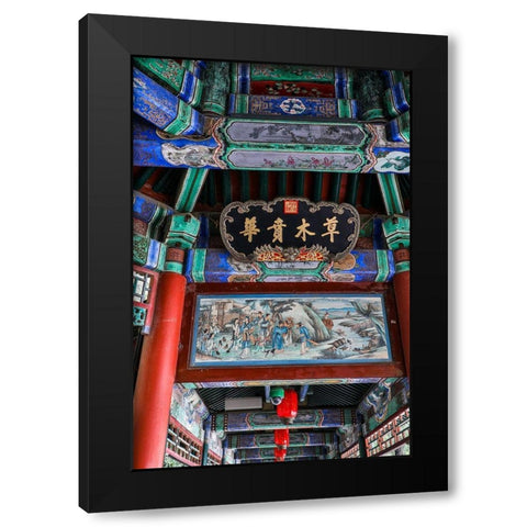 Asia-China-Beijing-Ceiling Detail at the Summer Palace of Empress Cixi Black Modern Wood Framed Art Print with Double Matting by Looney, Hollice