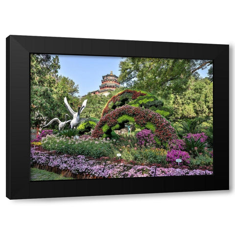 Asia-China-Beijing-Summer Palace of Empress Cixi Black Modern Wood Framed Art Print with Double Matting by Looney, Hollice