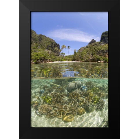 Indonesia, Misool Island Split view of an island Black Modern Wood Framed Art Print by Shimlock, Jones
