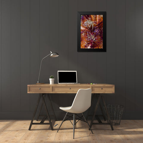 Indonesia, Adonara Isl Invertebrates and urchins Black Modern Wood Framed Art Print by Shimlock, Jones