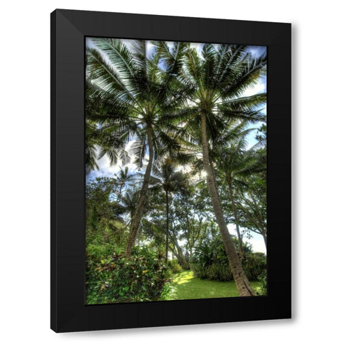 Indonesia, Bali View of vegetation in a Garden Black Modern Wood Framed Art Print with Double Matting by Shimlock, Jones