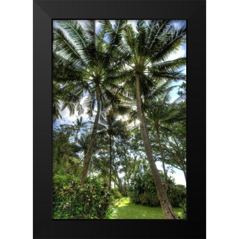 Indonesia, Bali View of vegetation in a Garden Black Modern Wood Framed Art Print by Shimlock, Jones