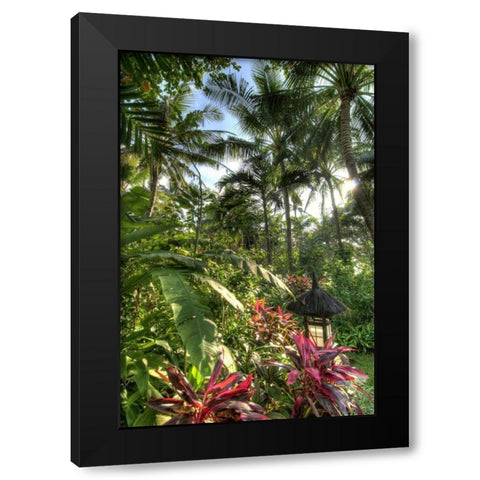 Indonesia, Bali View of vegetation in a Garden Black Modern Wood Framed Art Print with Double Matting by Shimlock, Jones