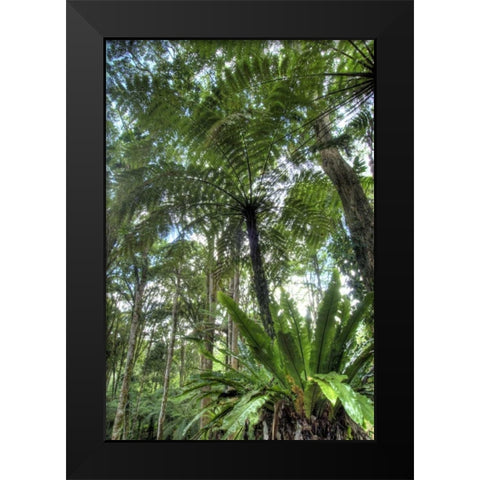 Indonesia, Bali View of vegetation in a Garden Black Modern Wood Framed Art Print by Shimlock, Jones