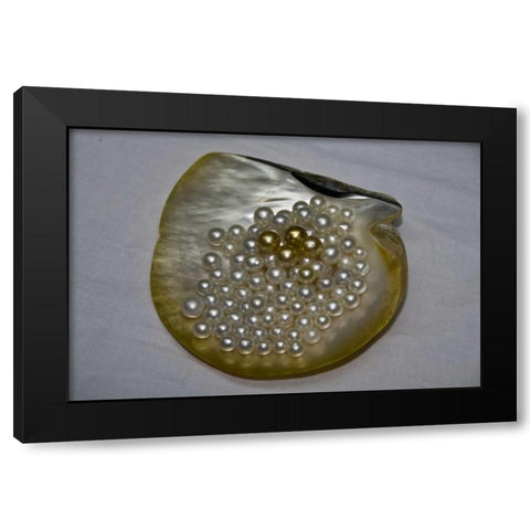 Cendana pearls from Aljui Bay, Papua, Indonesia Black Modern Wood Framed Art Print with Double Matting by Shimlock, Jones