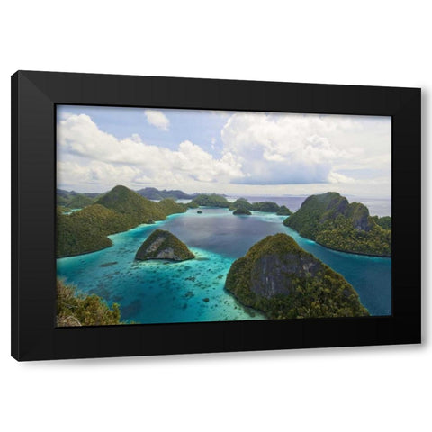 Island vegetation, New Guinea Island, Indonesia Black Modern Wood Framed Art Print with Double Matting by Shimlock, Jones