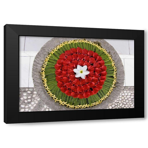 Balinese floral offering, Bali, Indonesia Black Modern Wood Framed Art Print with Double Matting by Shimlock, Jones
