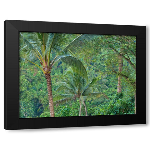 Indonesia-Bali-Ubud-Bali rainforest Black Modern Wood Framed Art Print with Double Matting by Eggers, Terry