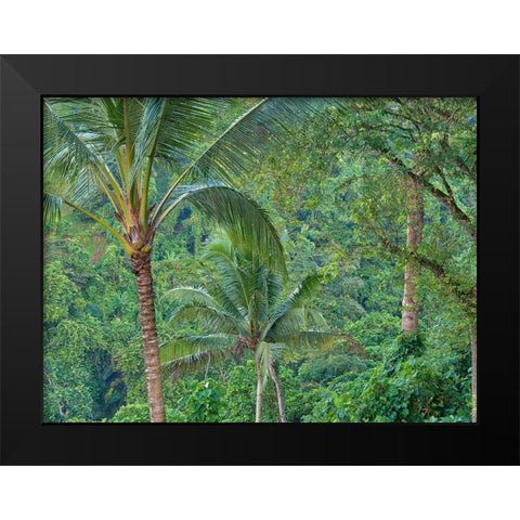 Indonesia-Bali-Ubud-Bali rainforest Black Modern Wood Framed Art Print by Eggers, Terry