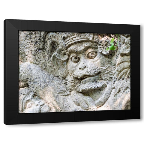Indonesia-Bali-Ubud-Statue in Pura Tirta Empul temple Black Modern Wood Framed Art Print with Double Matting by Eggers, Terry