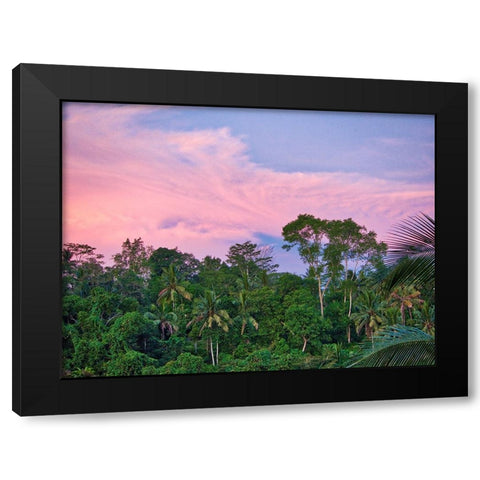 Indonesia-Bali-Ubud-Sunrise in the rainforest Black Modern Wood Framed Art Print by Eggers, Terry