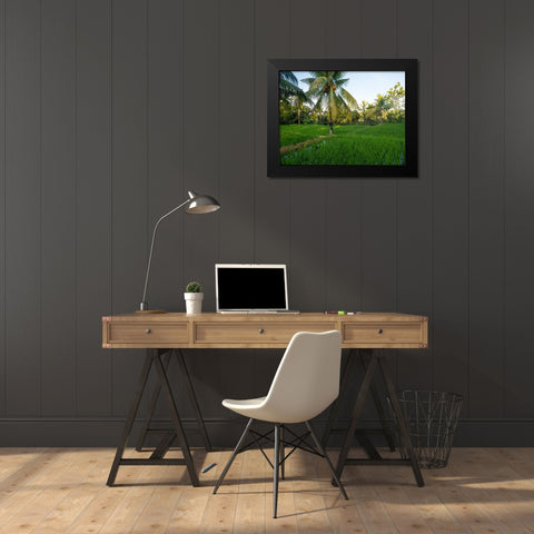 Indonesia-Bali-Ubud-Rice fields and palm trees Black Modern Wood Framed Art Print by Eggers, Terry