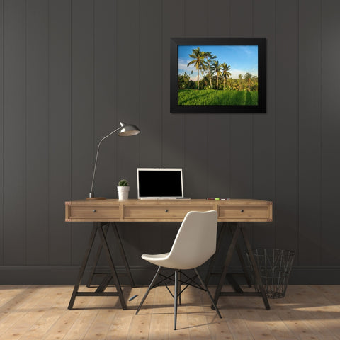 Indonesia-Bali-Ubud-Rice fields and palm trees Black Modern Wood Framed Art Print by Eggers, Terry