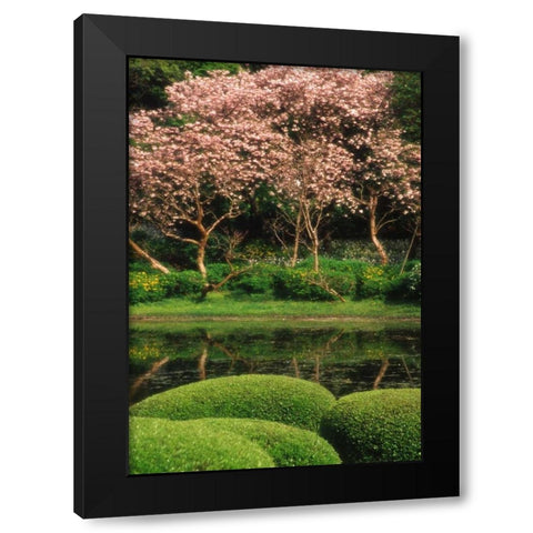 Japan, Tokyo Imperial Palace East Gardens Black Modern Wood Framed Art Print by Ross, Nancy ,  Steve