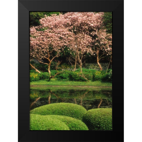 Japan, Tokyo Imperial Palace East Gardens Black Modern Wood Framed Art Print by Ross, Nancy ,  Steve