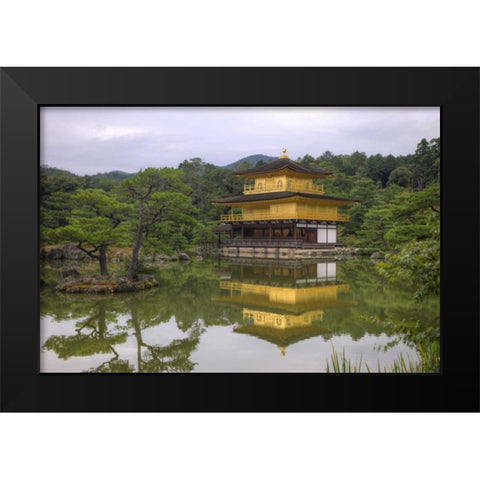 Japan, Kyoto Temple of the Golden Pavilion Black Modern Wood Framed Art Print by Flaherty, Dennis