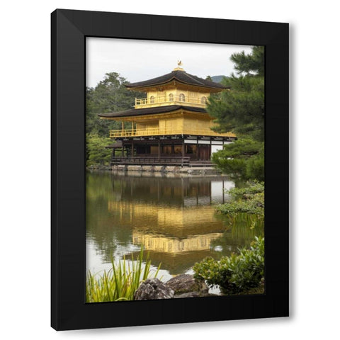 Japan, Kyoto Temple of the Golden Pavilion Black Modern Wood Framed Art Print with Double Matting by Flaherty, Dennis