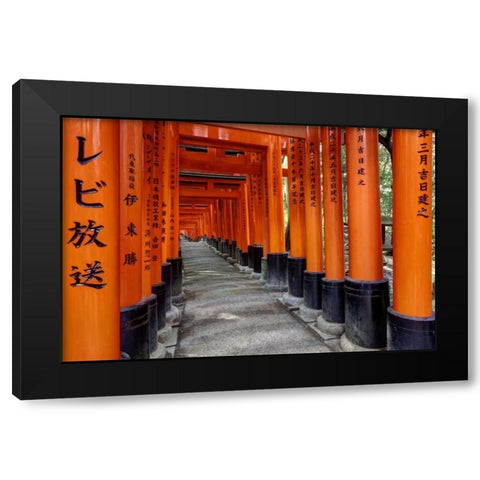 Japan, Kyoto, Fushimi-Inari-Taisha Torii Gates Black Modern Wood Framed Art Print with Double Matting by Flaherty, Dennis