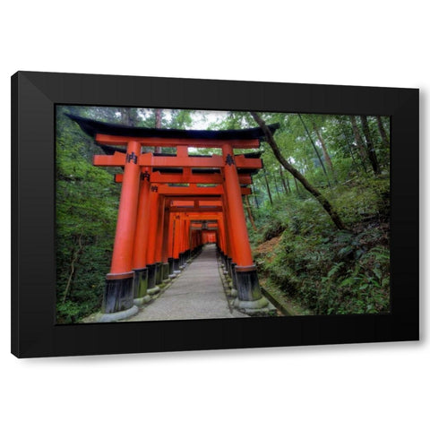 Japan, Kyoto, Fushimi-Inari-Taisha Torii Gates Black Modern Wood Framed Art Print with Double Matting by Flaherty, Dennis