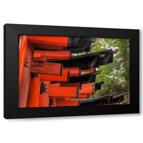 Japan, Kyoto, Fushimi-Inari-Taisha Torii Gates Black Modern Wood Framed Art Print with Double Matting by Flaherty, Dennis